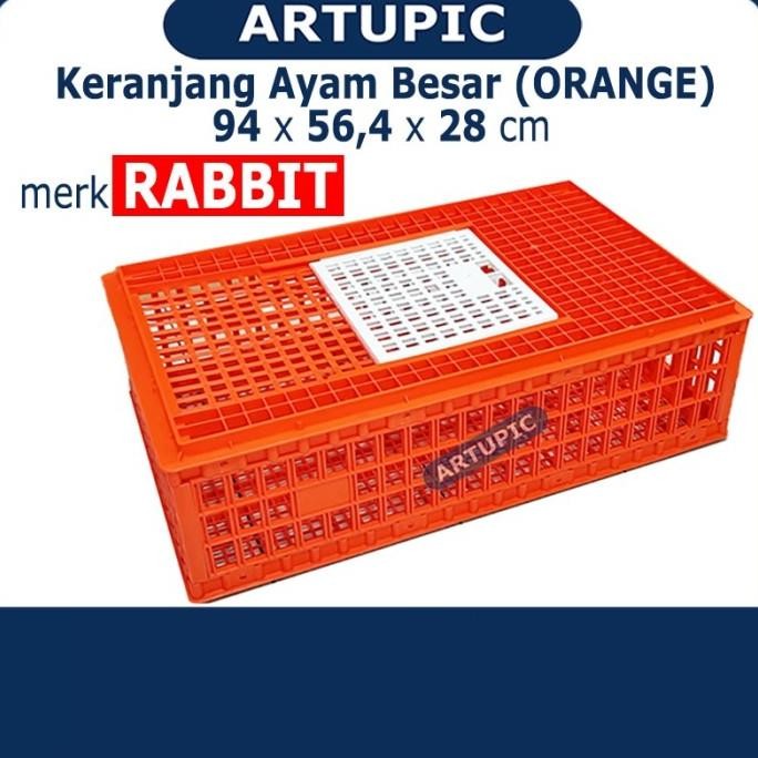 

READY KERANJANG AYAM BESAR KERAMBAH ORANGE ARTUPIC