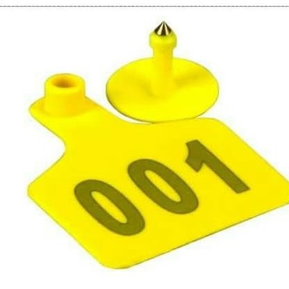 

Ear Tag Sapi Uk 75X60Mm