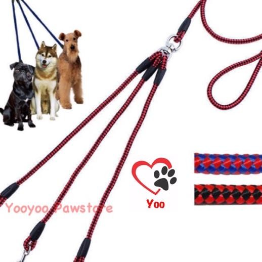 Tali Tuntun 3 Cabang Anjing
