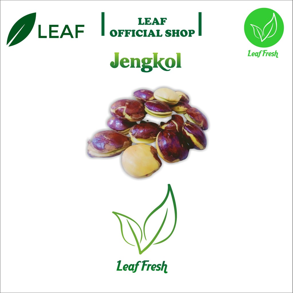 

JENGKOL FRESH BY LEAF FRESH