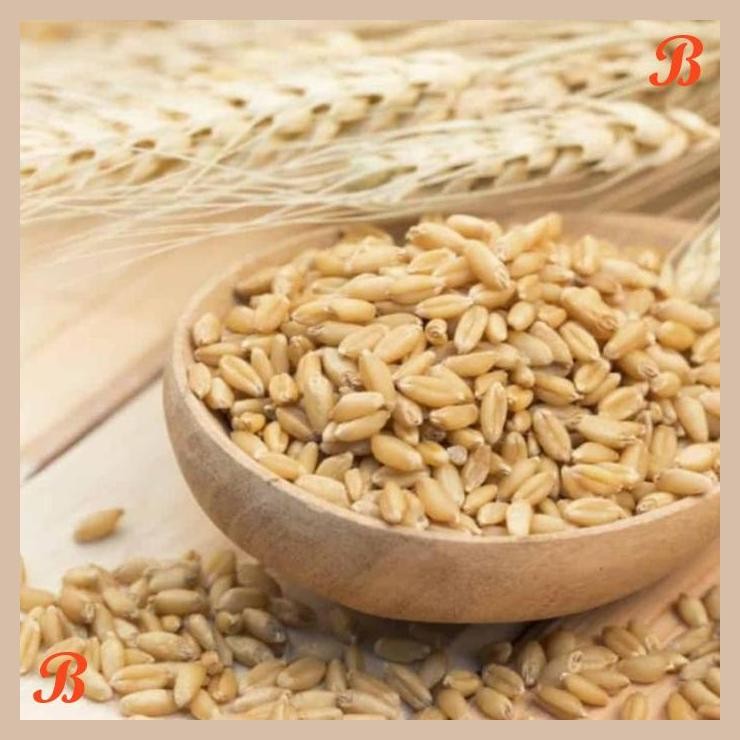 

| RMP | PEARL BARLEY HULLED 1KG / BARLEY UTUH 1KG