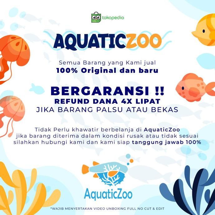 Promo Mayin View Plus Lamp Celup Mayin Lampu Ikan Arowana Arwana Tanning Led