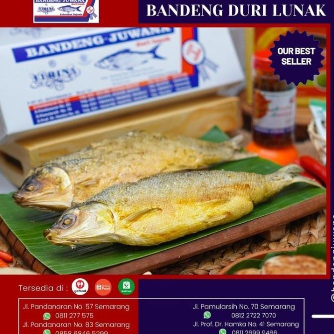 Bandeng Presto Juwana Semarang Oleh Oleh Khas Semarang Original Dan Terpercaya