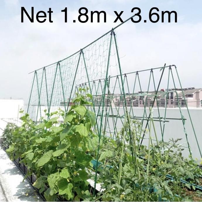 Promo Tali Jaring Net Rambatan 1.8 X 3.6 Meter Tanaman Rambat Bunga Anggur COD