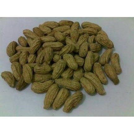 

(Good) Kacang Goreng Bendo