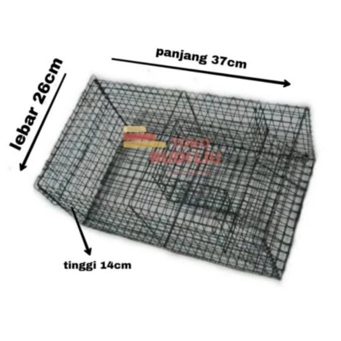 Perangkap tikus massal jebakan tikus jumbo UMKM