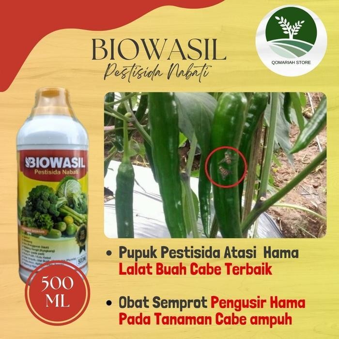 Obat semprot pengendali hama lalat buah cabai terbaik - BIOWASIL 500ML Pupuk Pestisida Basmi Hama la