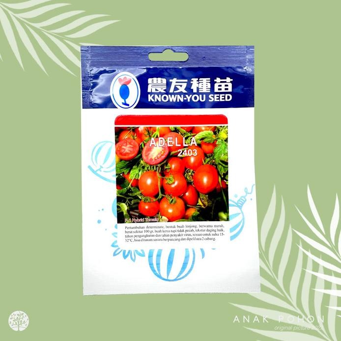 [1 PACK] Benih Tomat Adella 2403 F1 Hybrid Tomato - Known-You Seed murah