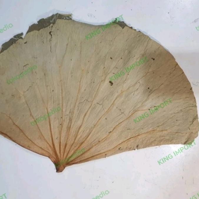 

Daun Teratai Kering Fresh / Lotus dried Leaf 500gr - Lo Mai kai murah