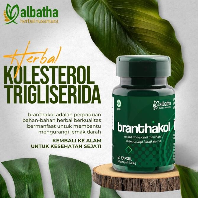 Obat Kolesterol Herbal Branthakol - Turunkan Kolesterol, Trigliserida Dan Menjaga Kesehatan Pembuluh