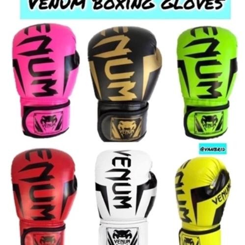 Arung Tinju Elite Muaythai Boing Mma I Boing