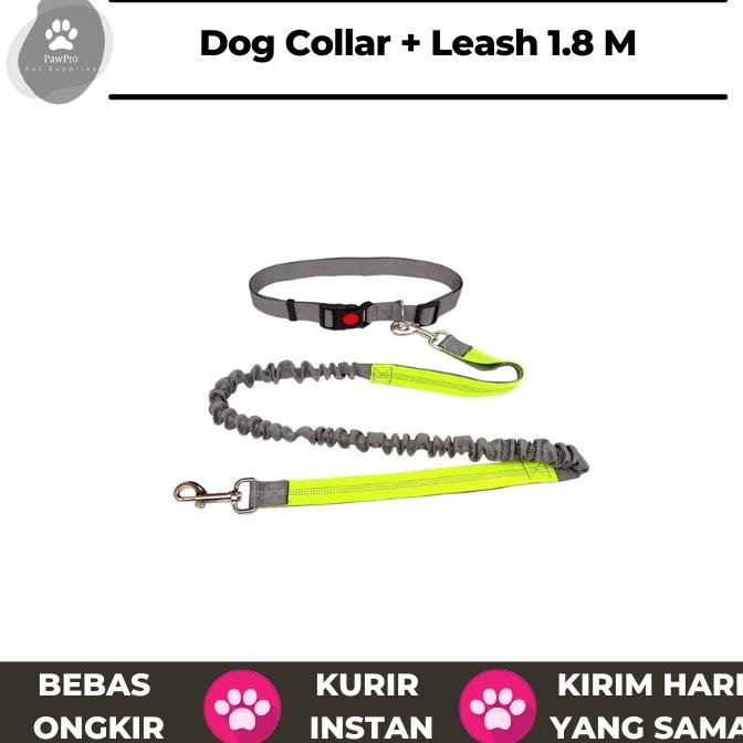 Bisa Grab Tali Dan Kalung Anjing | Dog Collar And Leash | Tali Anjing Polyester