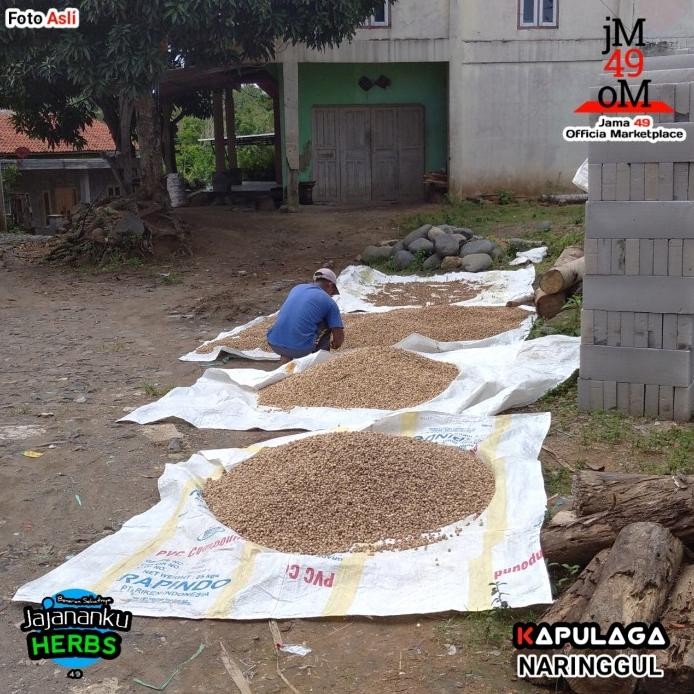 

Kapulaga Kering 1kg Kapol Putih Alami Hasil Sortir Cucian Air Bersih murah