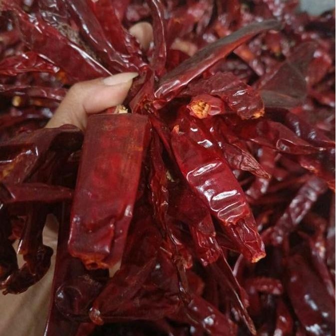 

KEMASAN ( 1KG ) CABE MERAH BESAR KERING TIDAK PEDAS COCOK UNTUK BUMBU MERAH Cabai murah