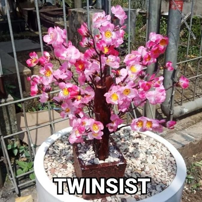 Murah Pohon Sakura Plastik Artificial Tinggi 30 Cm / Bunga Hias Sakura / Bunga Sakura Plastik / Poho