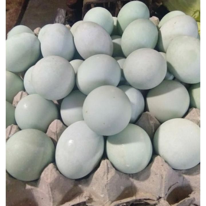 

Pk32 Telor Asin Mateng 2 Biji