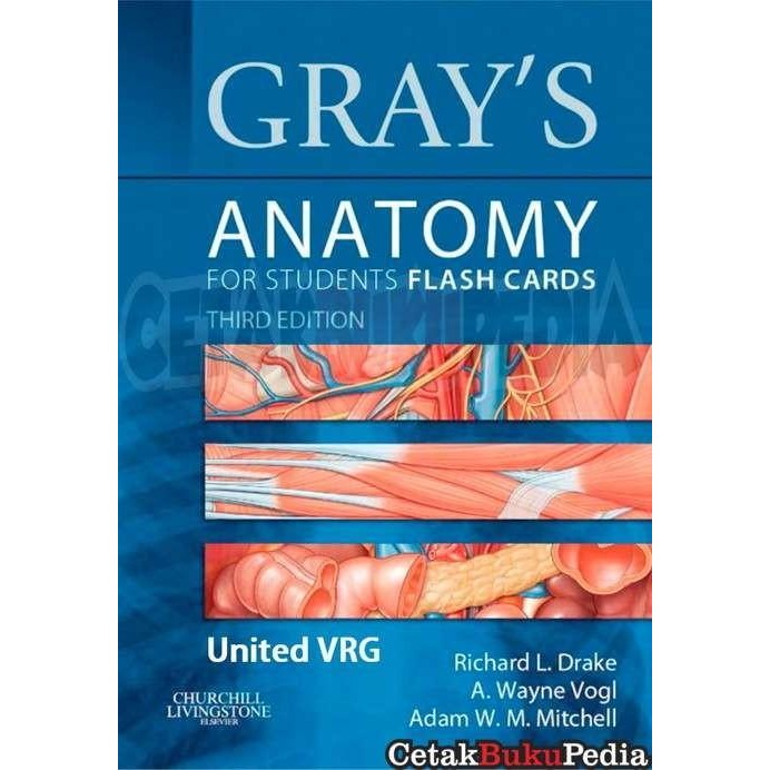 Buku Po Gray S Anatomy Students Flash Card Richarddrake Softcover