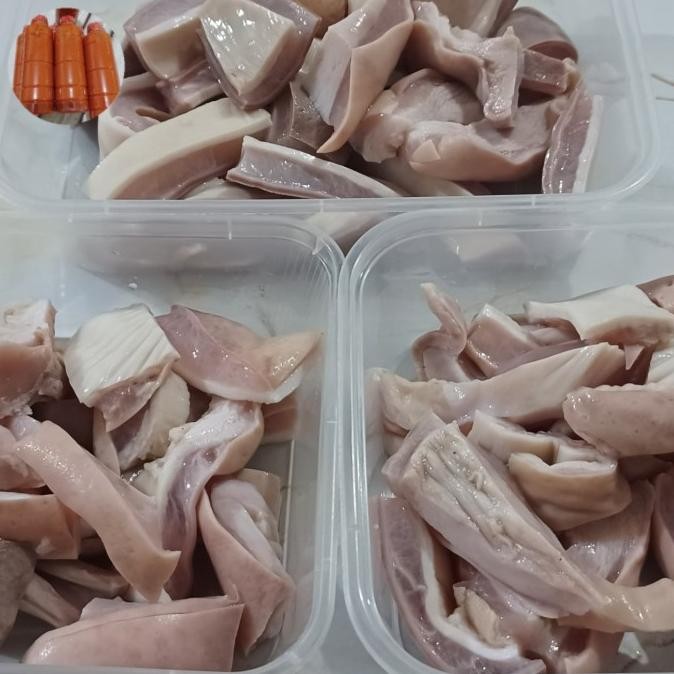 

Grosir Cutu / Tito (Lambung / Perut Babi) Bersih Sudah Rebus