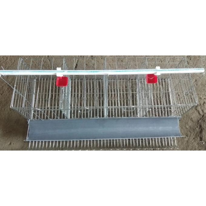 Kandang Baterai Ayam Petelur/Kandang Battery Galvanise Komplit Set