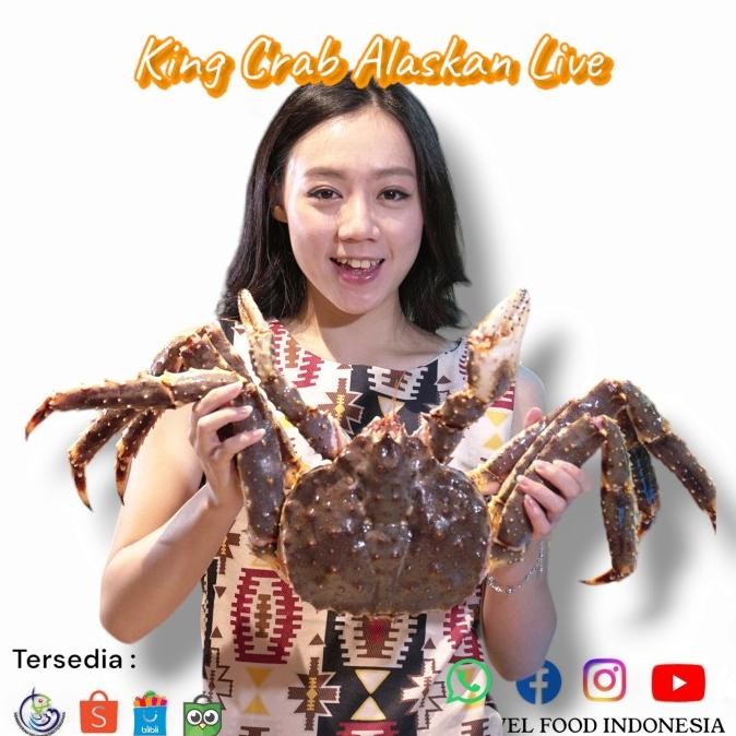 King Crab Alaska Live | Kepiting Alaskan Hidup Ukuran 2-4 kg