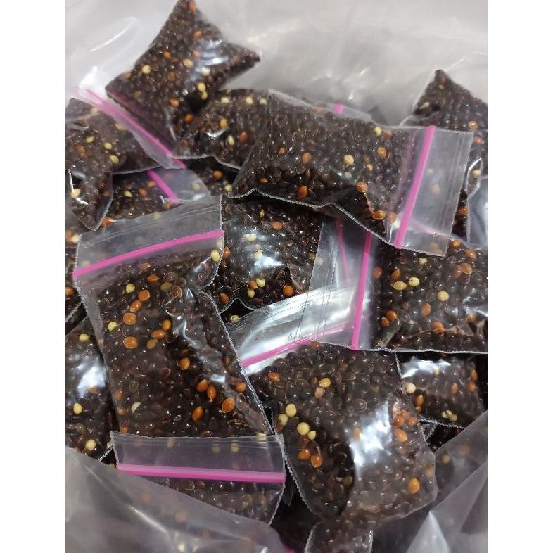 er-6 Milet hitam penggacor burung perkutut kenari lovebird Terlaris