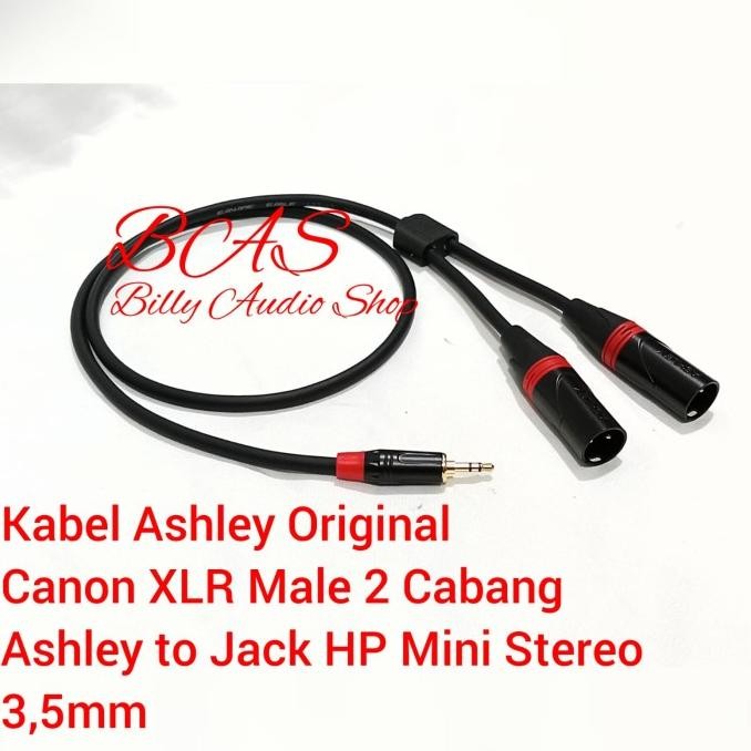 Kabel Audio Ashley Jack Hp Mini Stereo 3,5mm To Canon XLR Male Cabang