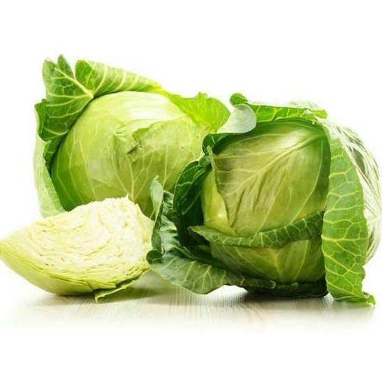 

fresh !!! Benih / Bibit / Biji - Kubis Kobis Kol F1 Hybrid (Kualitas Super)