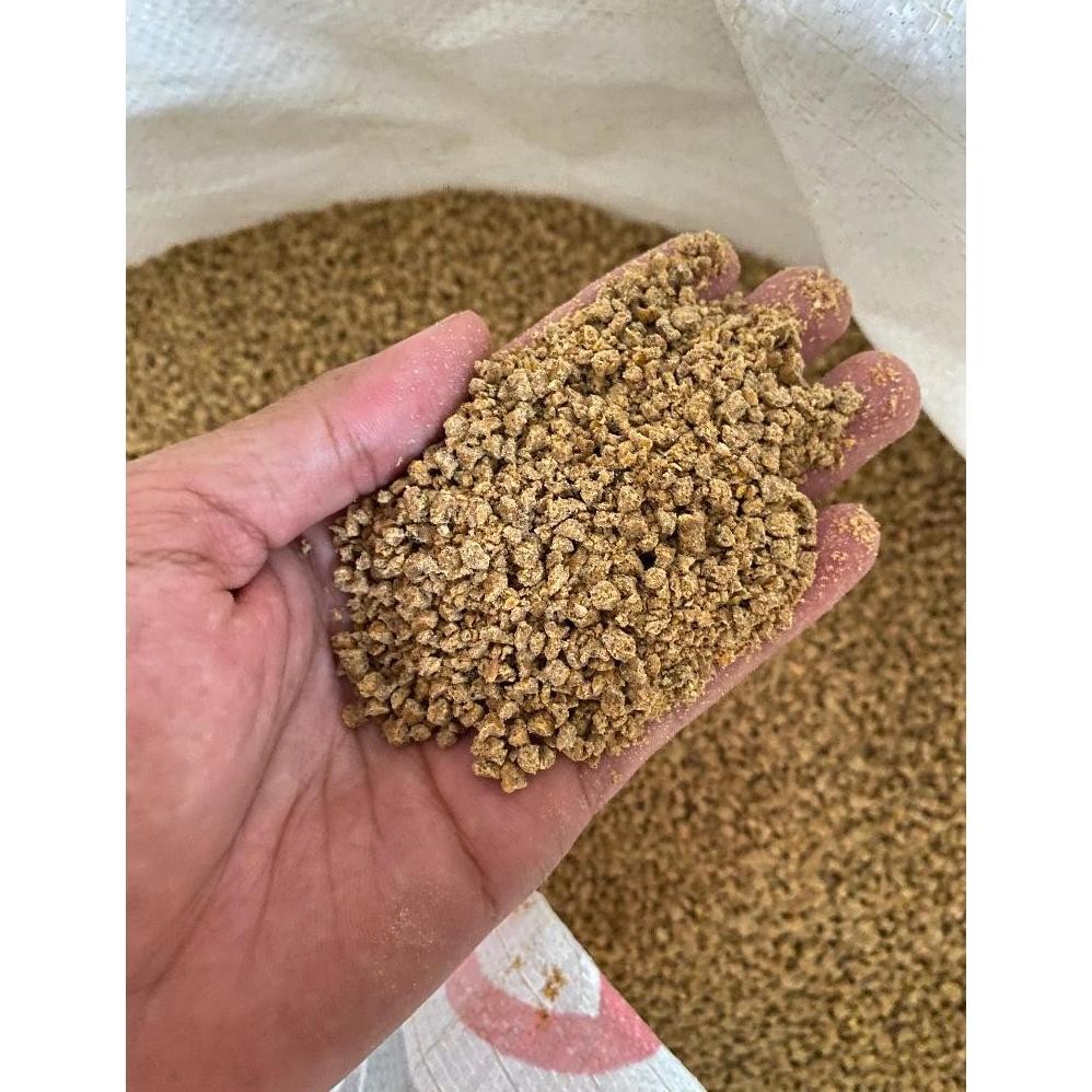 qw-45 SD83 BR BW WONOKOYO 1 KG BROILER CRUMBLE VOER PAKAN MAKANAN AYAM UNGGAS BEBEK BURUNG PUYUH BUR