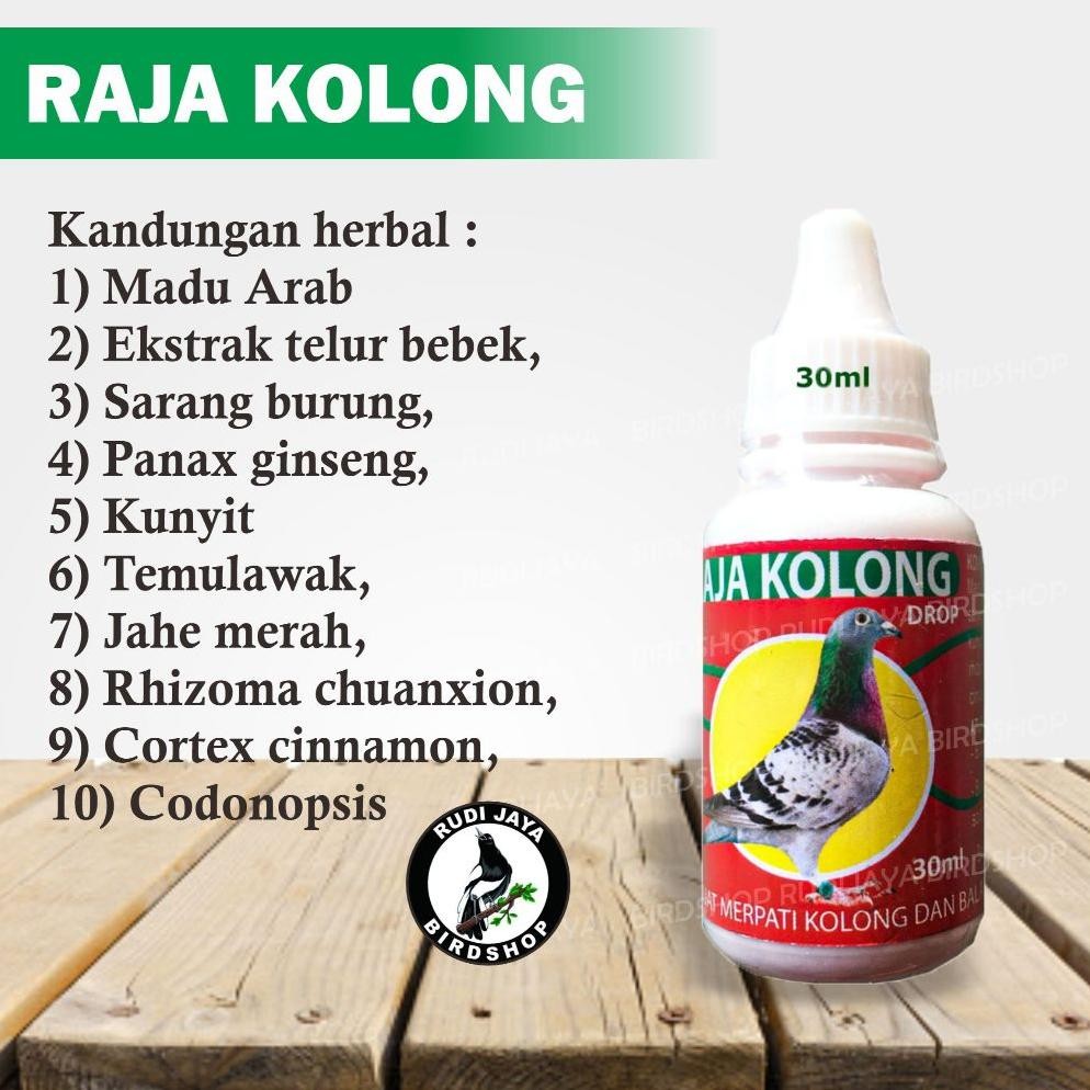 Cuci Gudang To94 RAJA KOLONG TAMASINDO VITAMIN DOPING PENAMBAH STAMINA TENAGA POWER BURUNG MERPATI B