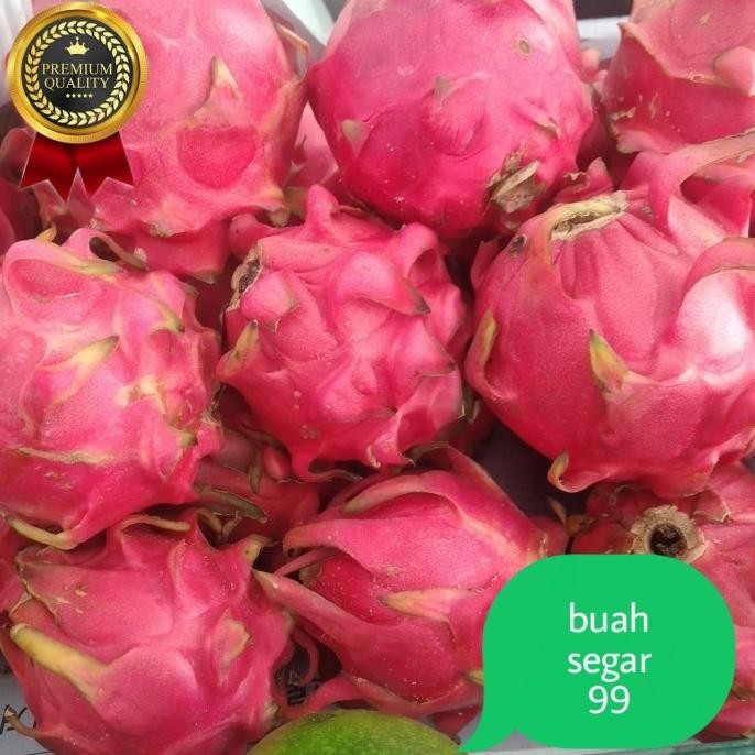 

buah naga merah fresh/ Dragon fruit nUg