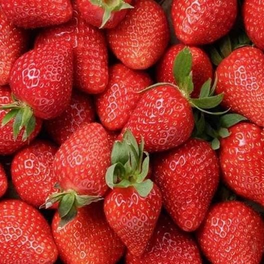 

Buah strawberry fresh segar nUg