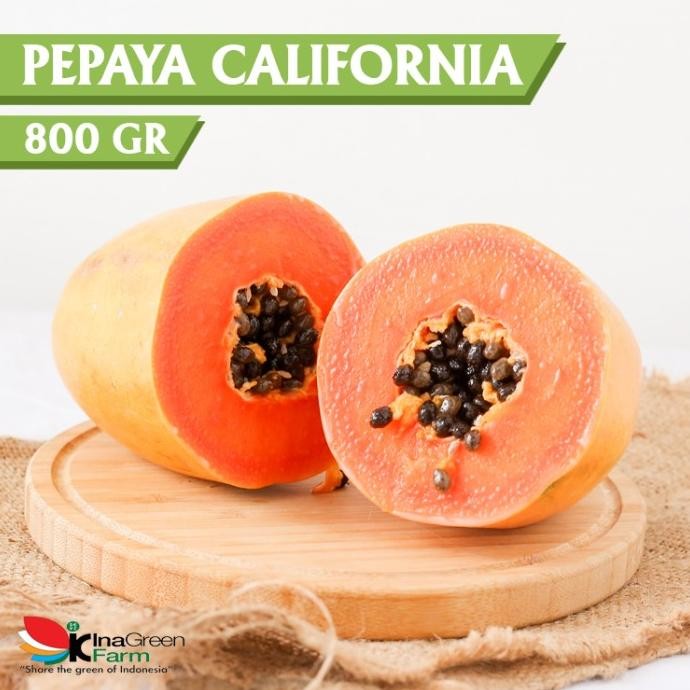 

Buah Pepaya California Inagreen Farm Bandung nUg