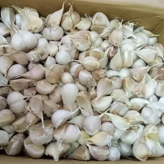 

Bawang Kating 500 GRAM dan 1 Kilo Import Kwalitas Bagus nUg