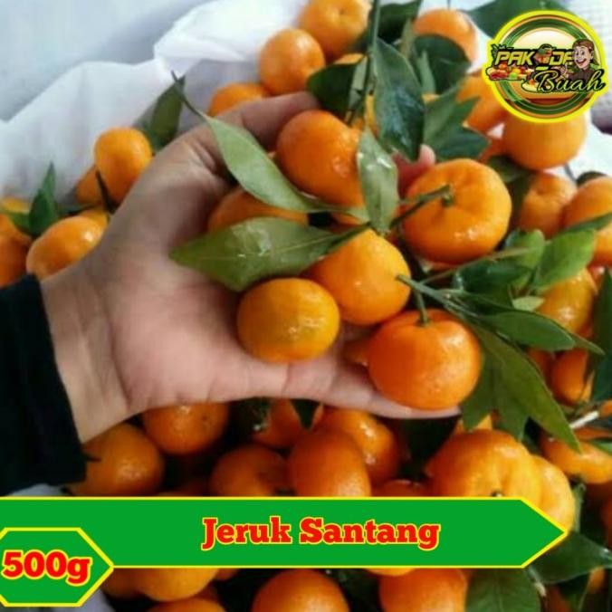 

JERUK SANTANG DAUN SEGAR / BUAH SEGAR & FRESH / 500 GRAM nUg
