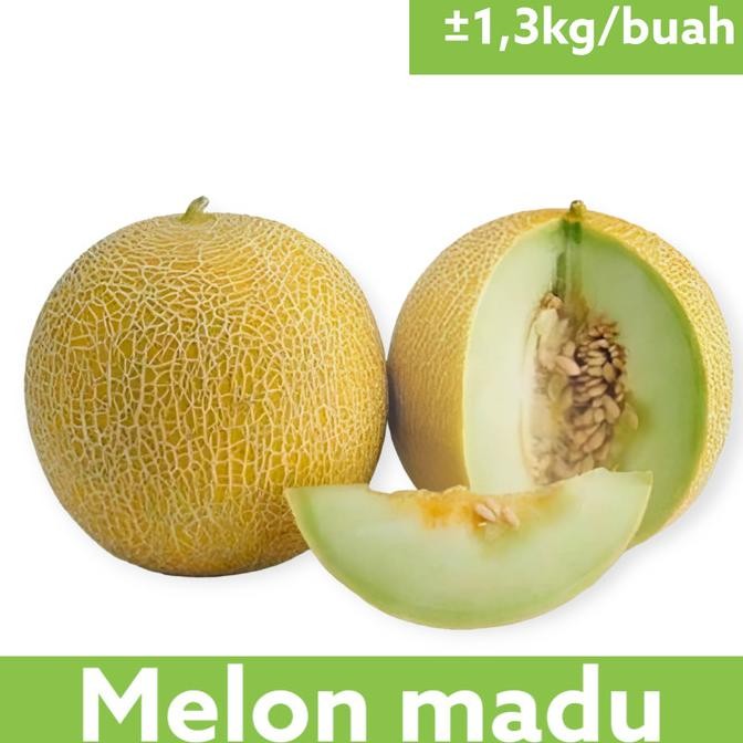 

melon lokal 1 buah nUg