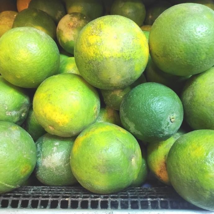 

jeruk sunkist baby nUg