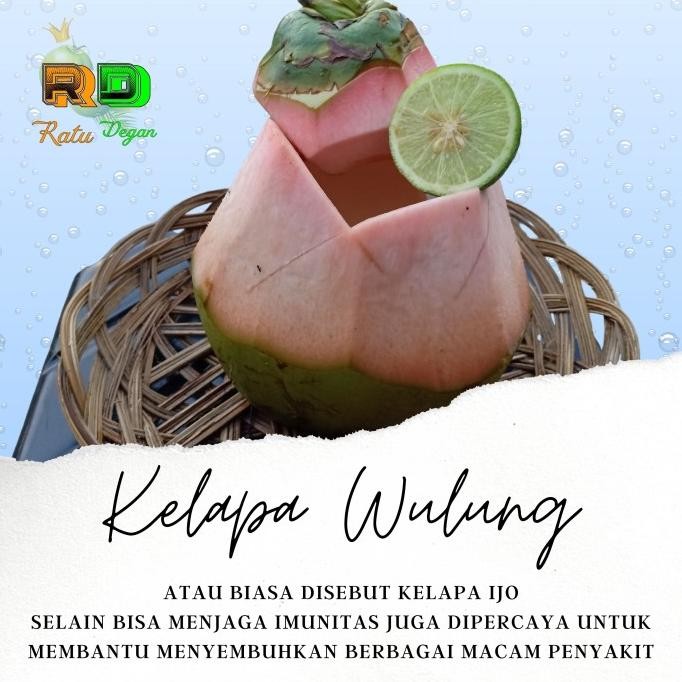

Kelapa Ijo Hijau Wulung Murni - Satu Buah - Ratu Degan nUg