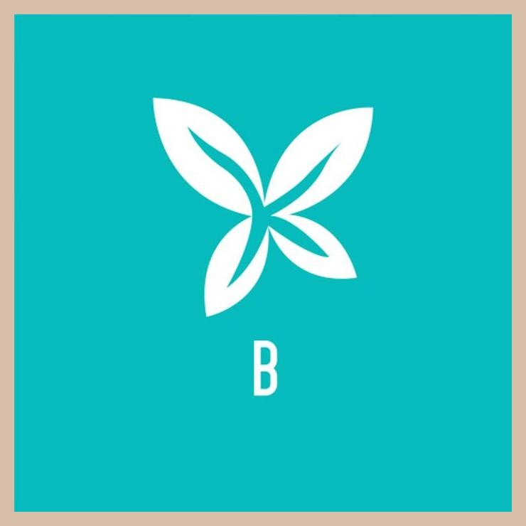 [ALK] PER SHOCK PER VER SHOK DEPAN NINJA 250FI 250 FI 250R 250 KARBU ORI