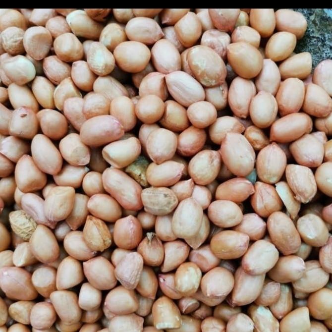 

kacang tanah tuban 1kg 8mm nUg