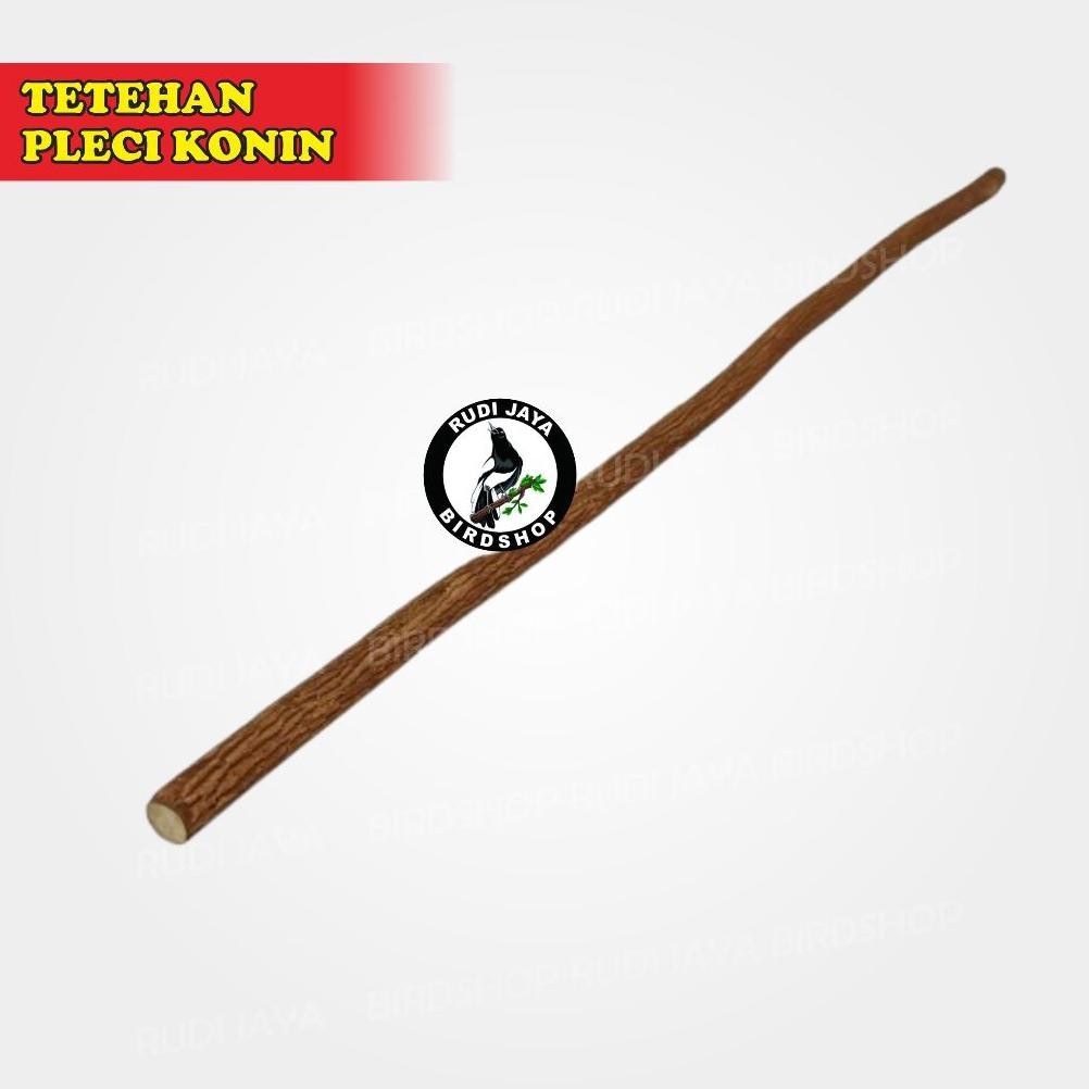 re-65 Up15 Tangkringan Asem Jawa Tetehan Super Lomba Burung Murai Kacer Kenari Pleci Untuk Plangkrin