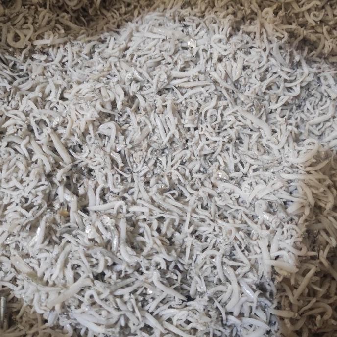 

Promo Teri Medan 1Kg