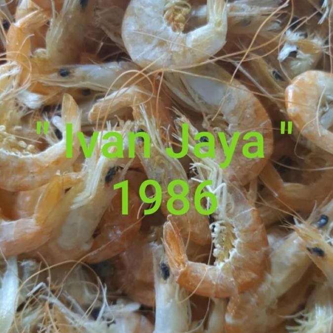 

Murah Udang Manis Medan 500Gram
