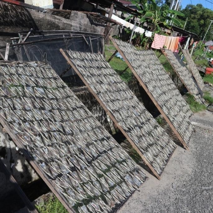 

Promo Ikan Asin Tipis Tarakan 1/2 Kg Termurah