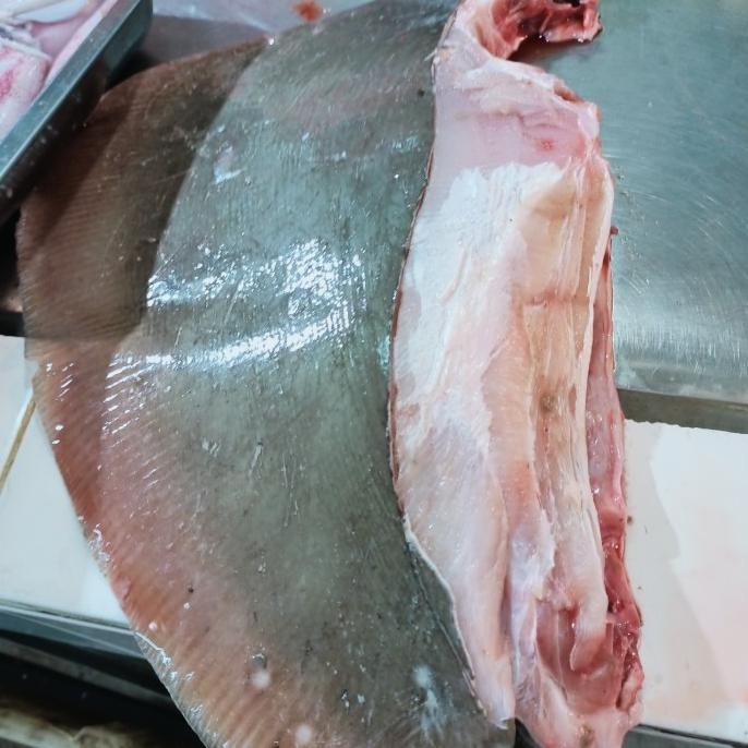 

Murah Ikan Pari Potong 1Kg