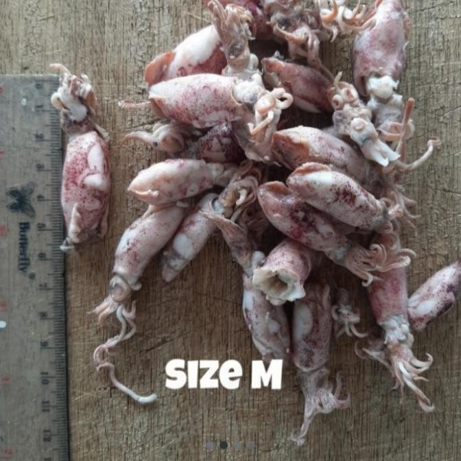 

Promo Ikan Asin Cumi Baby/ Kering/ Jumbo/ Empuk/ Penyimpanan Frezeer/ 1 Kg