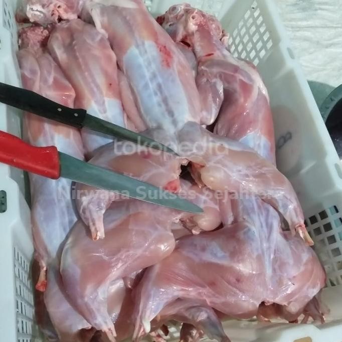 

Grosir Kelinci Pedaging Utuh / Whole Rabbit Meat