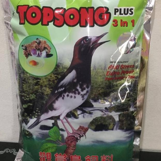 Topsong Coklat - Topsong Kuning - Voer Burung Ocehan