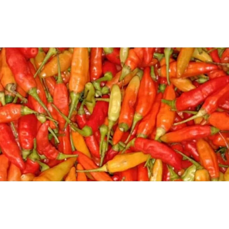 

cabe rawit merah 500g fresh kebun sendiri