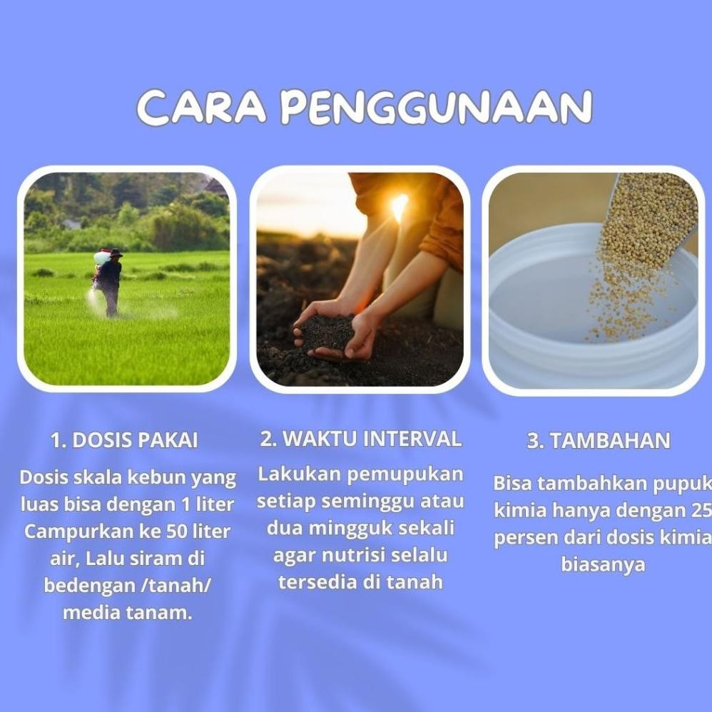 Pupuk daun bibit sawit,Pupuk semai bibit sawit,Pupuk bibit sawit,Pupuk cair bibit sawit INTERFARM