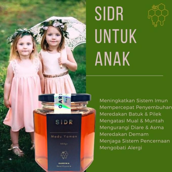 

Madu Sidr Yaman Hadramaut Asli Kualitas Premium -Madu Yaman-Madu Hutan Best Seller